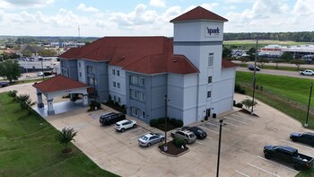 Spark by Hilton Brandon