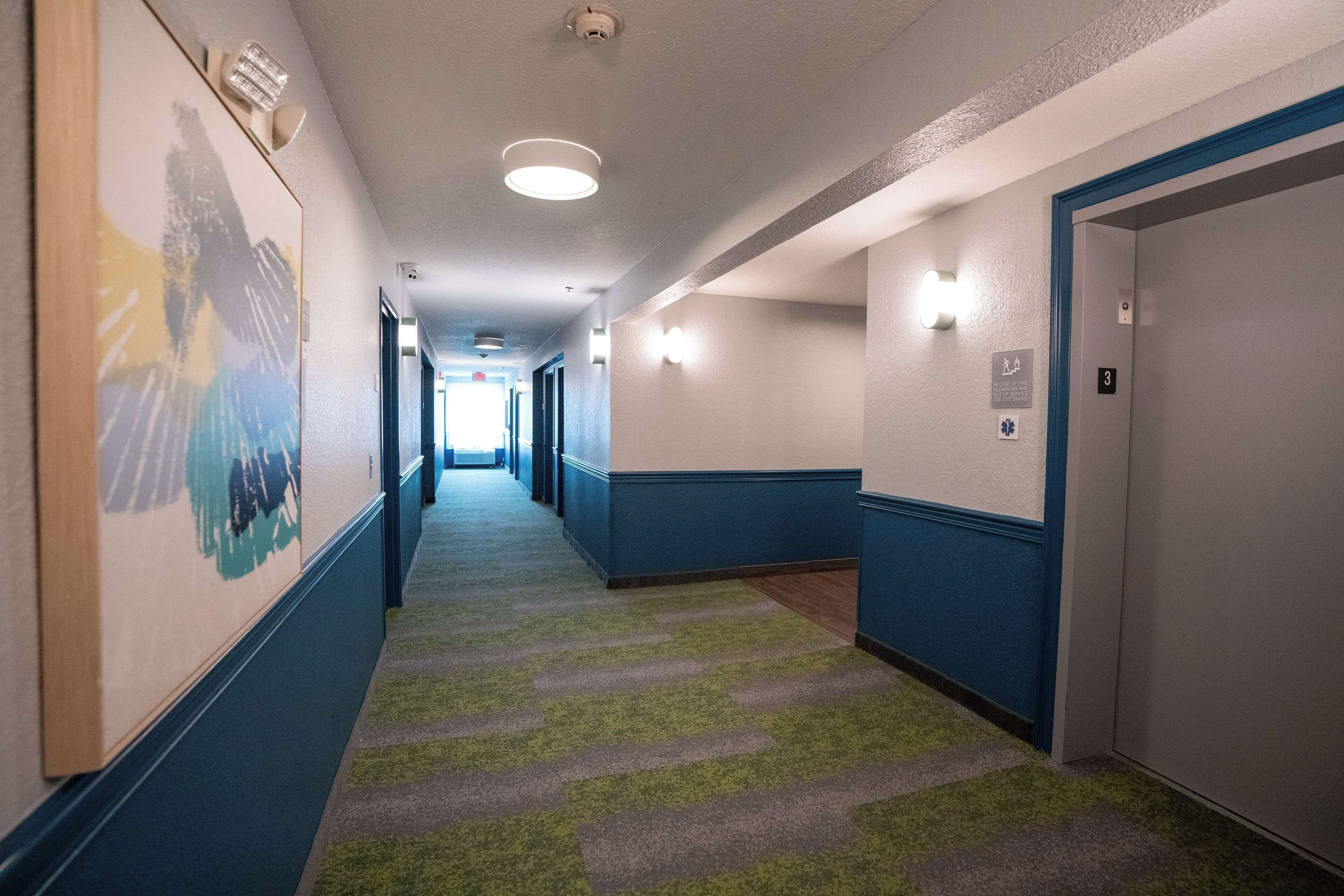 A hotel hallway with a carpeted floor, blue walls, and a framed artwork on the left.