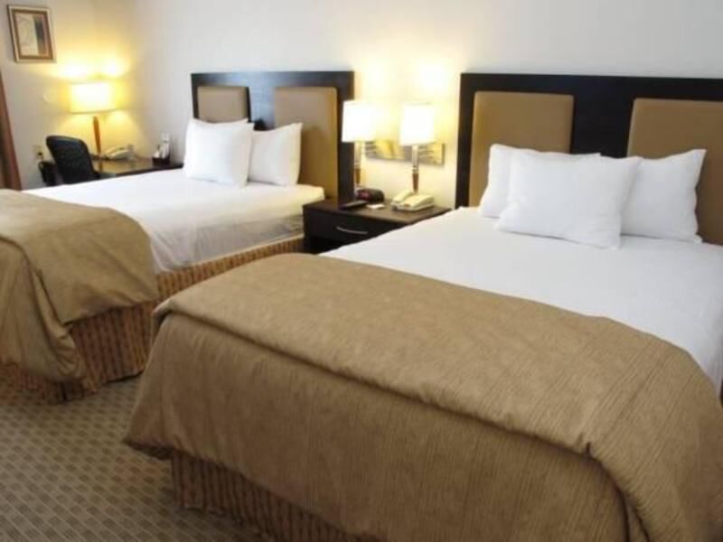 Ropa de cama de alta calidad y escritorio 