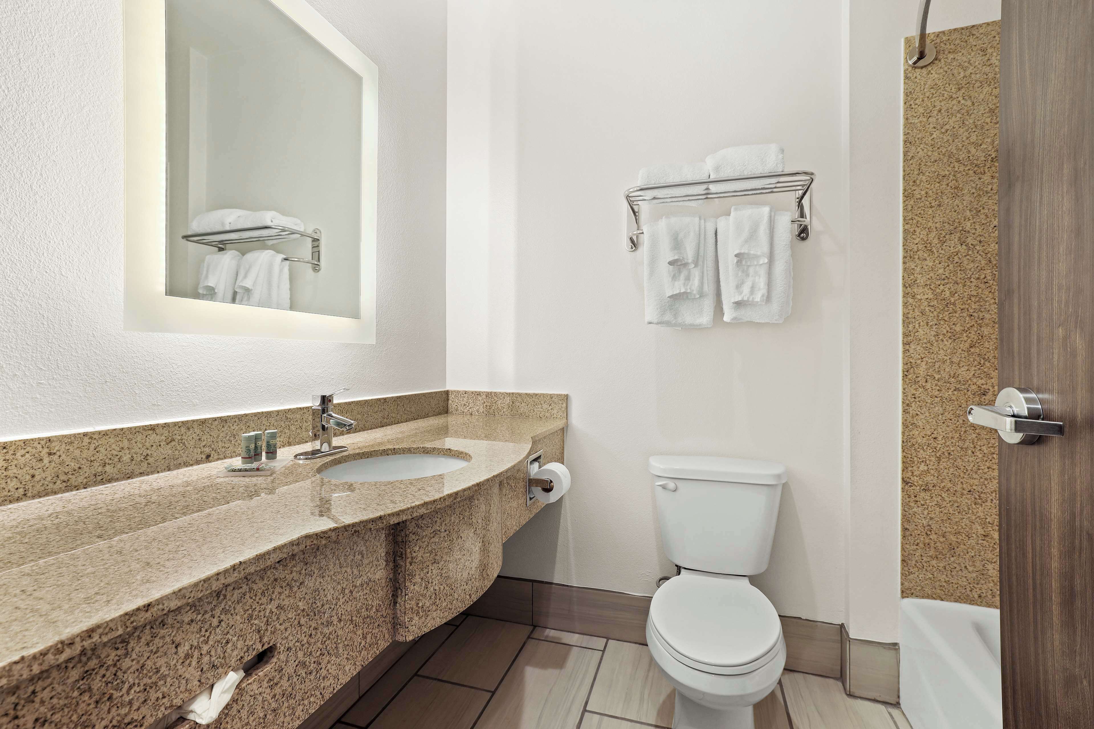 combined shower/bathtub, free toiletries, hair dryer, towels