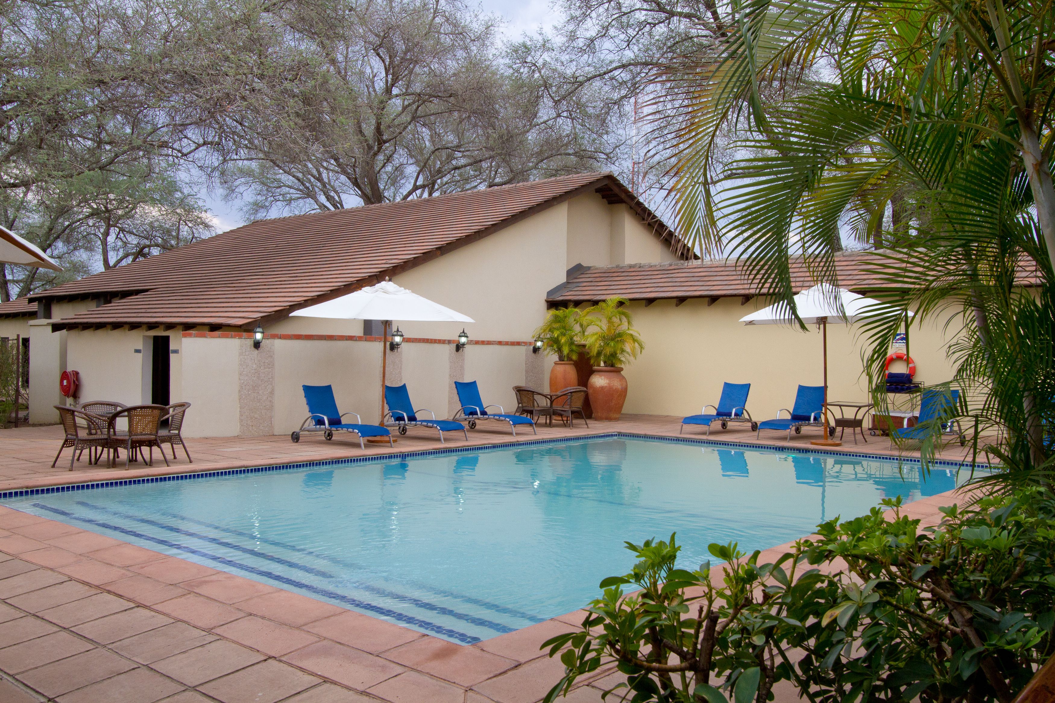 A swimming pool with blue lounge chairs and umbrellas, surrounded by potted plants and trees.