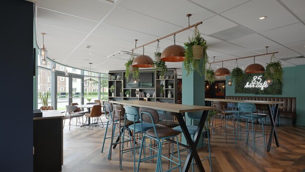 Un área de bar moderna con sillas azules, una barra de madera y plantas colgantes.