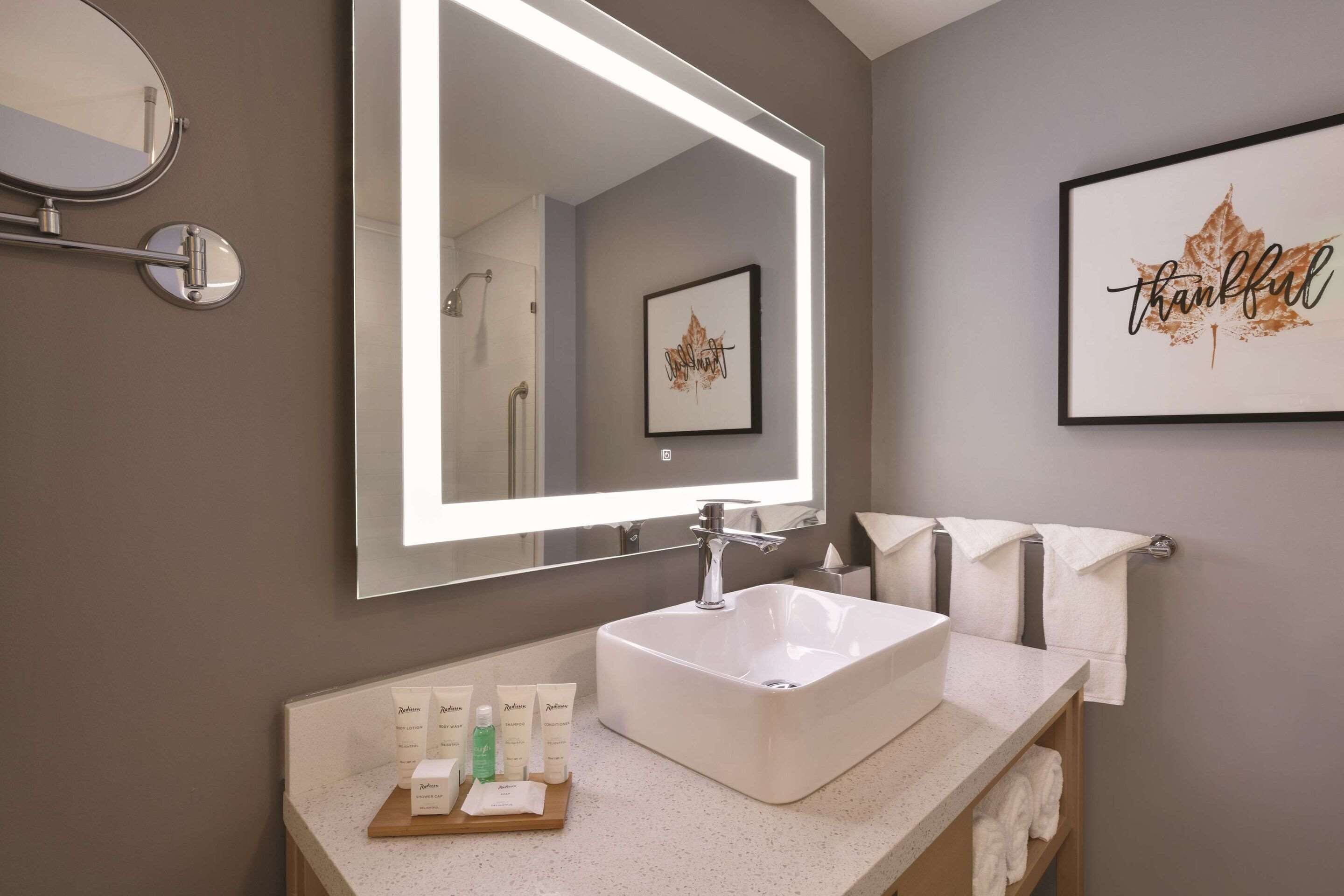 Foto - Radisson Hotel Atlanta Airport