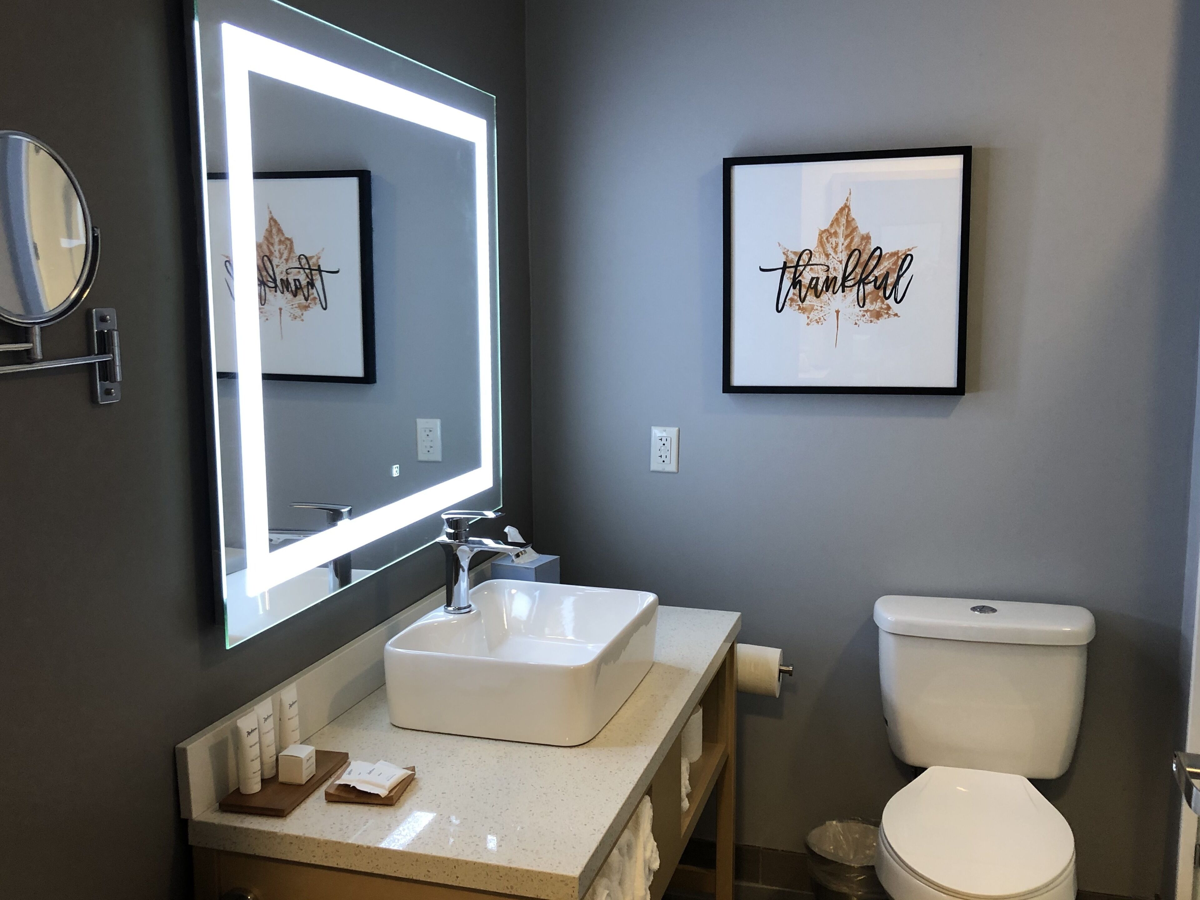 Foto - Radisson Hotel Atlanta Airport