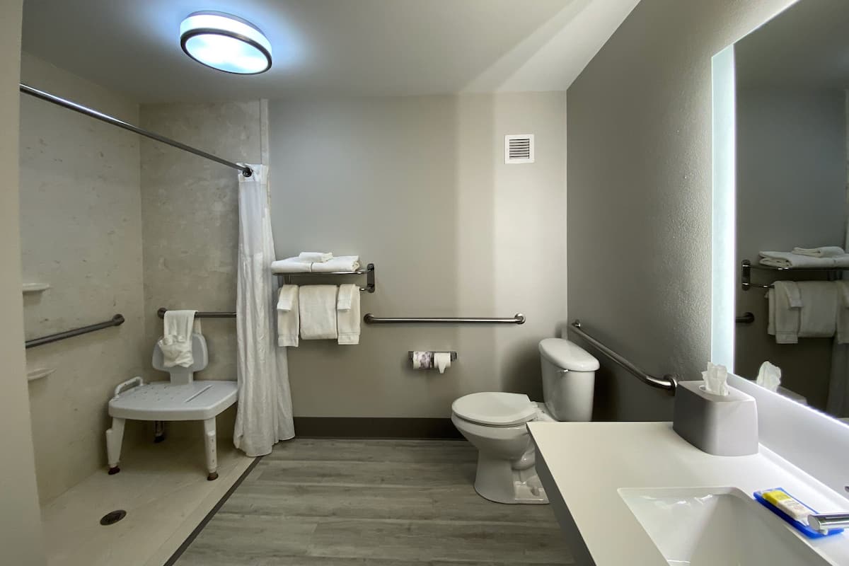 Standard Room, 1 King Bed, Accessible (Communications, Roll-In Shower) | 1 bedroom, desk, laptop workspace, blackout drapes