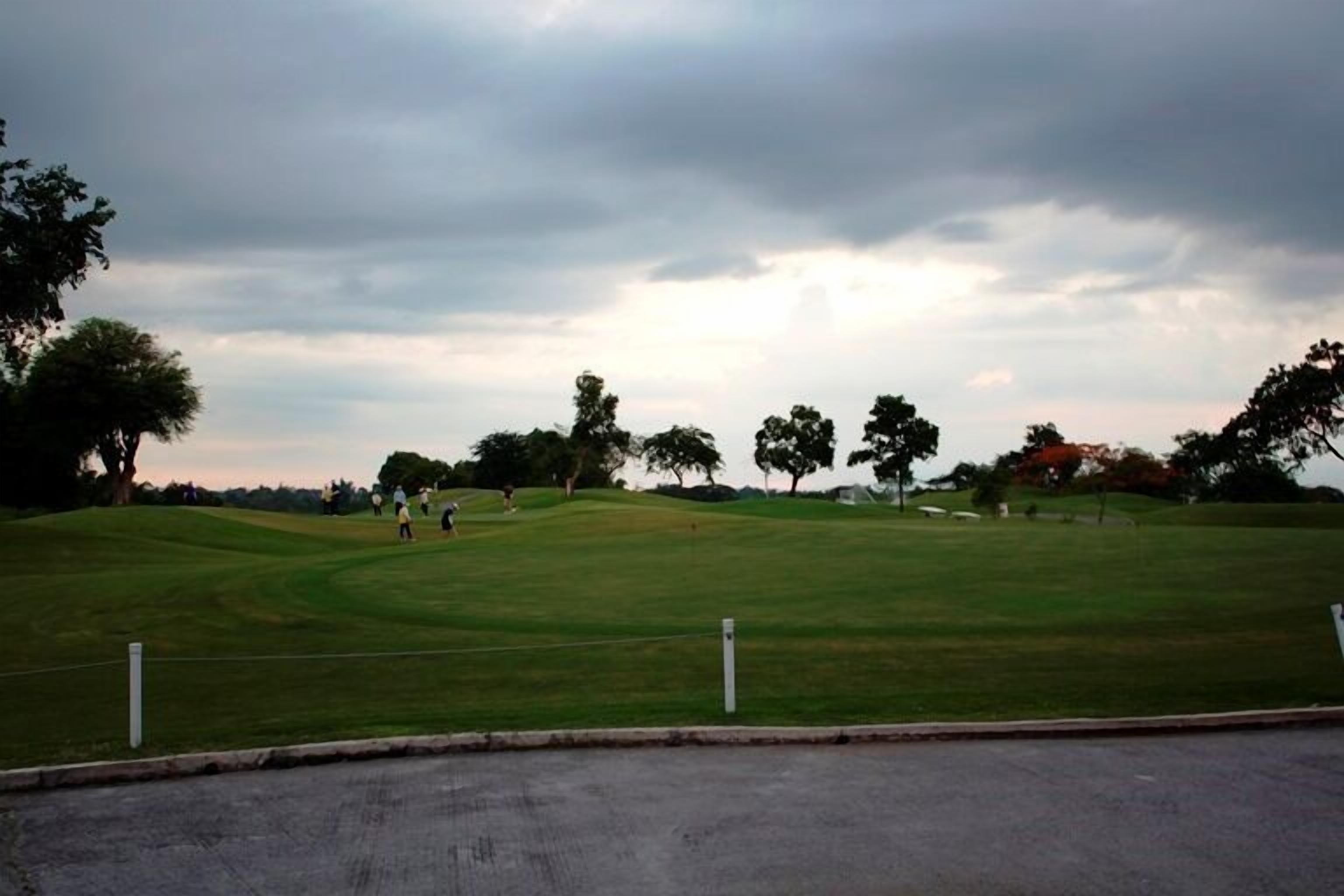 Un campo de golf con una carretera en primer plano y árboles al fondo.