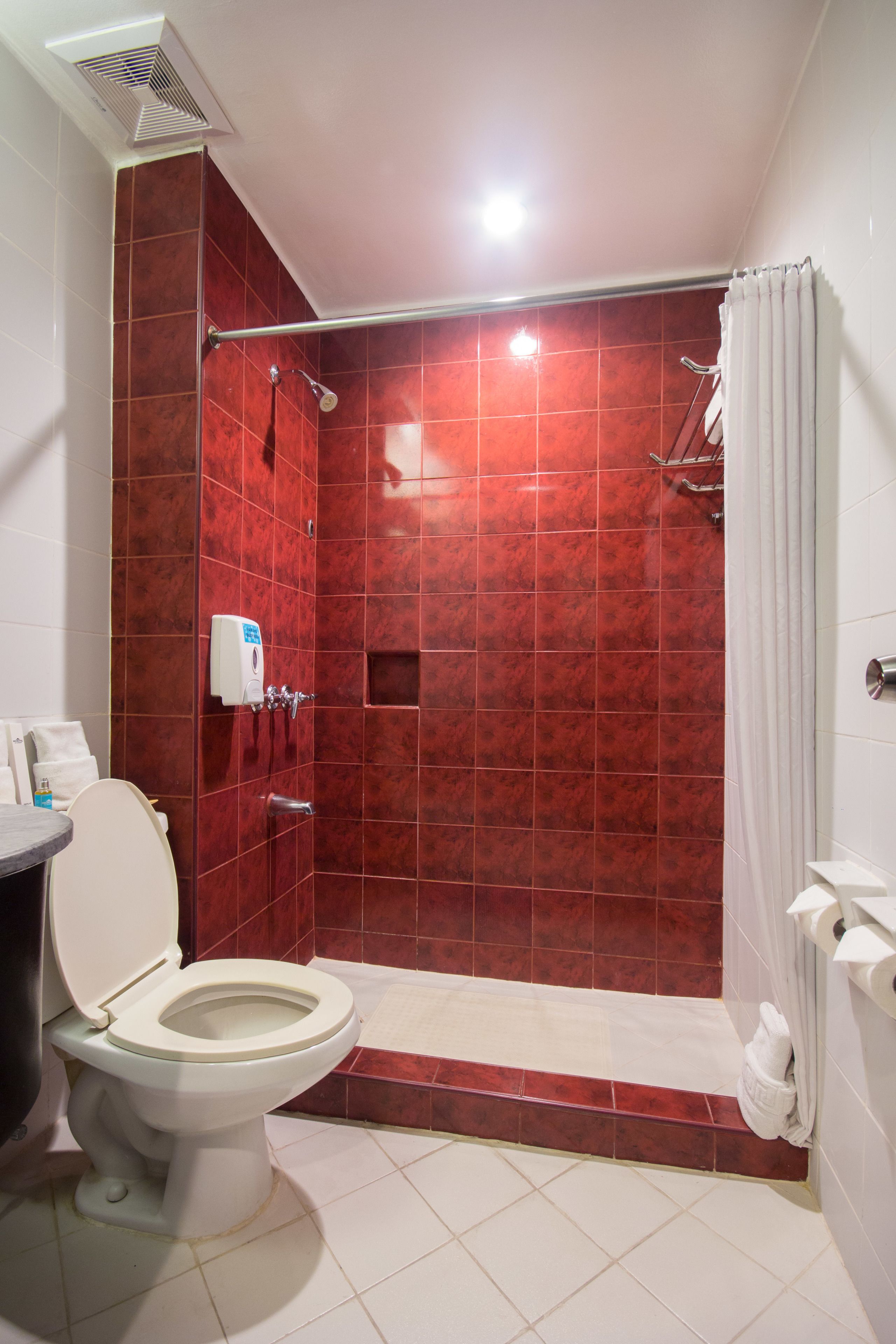 Baño con ducha, inodoro y secador de manos.