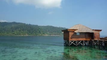 Un bungalow en bois, construit sur pilotis au-dessus de l’eau et doté d’un toit de chaume, offre une vue imprenable sur une eau turquoise et cristalline ainsi que sur une île verdoyante qui se dessine à l’horizon.