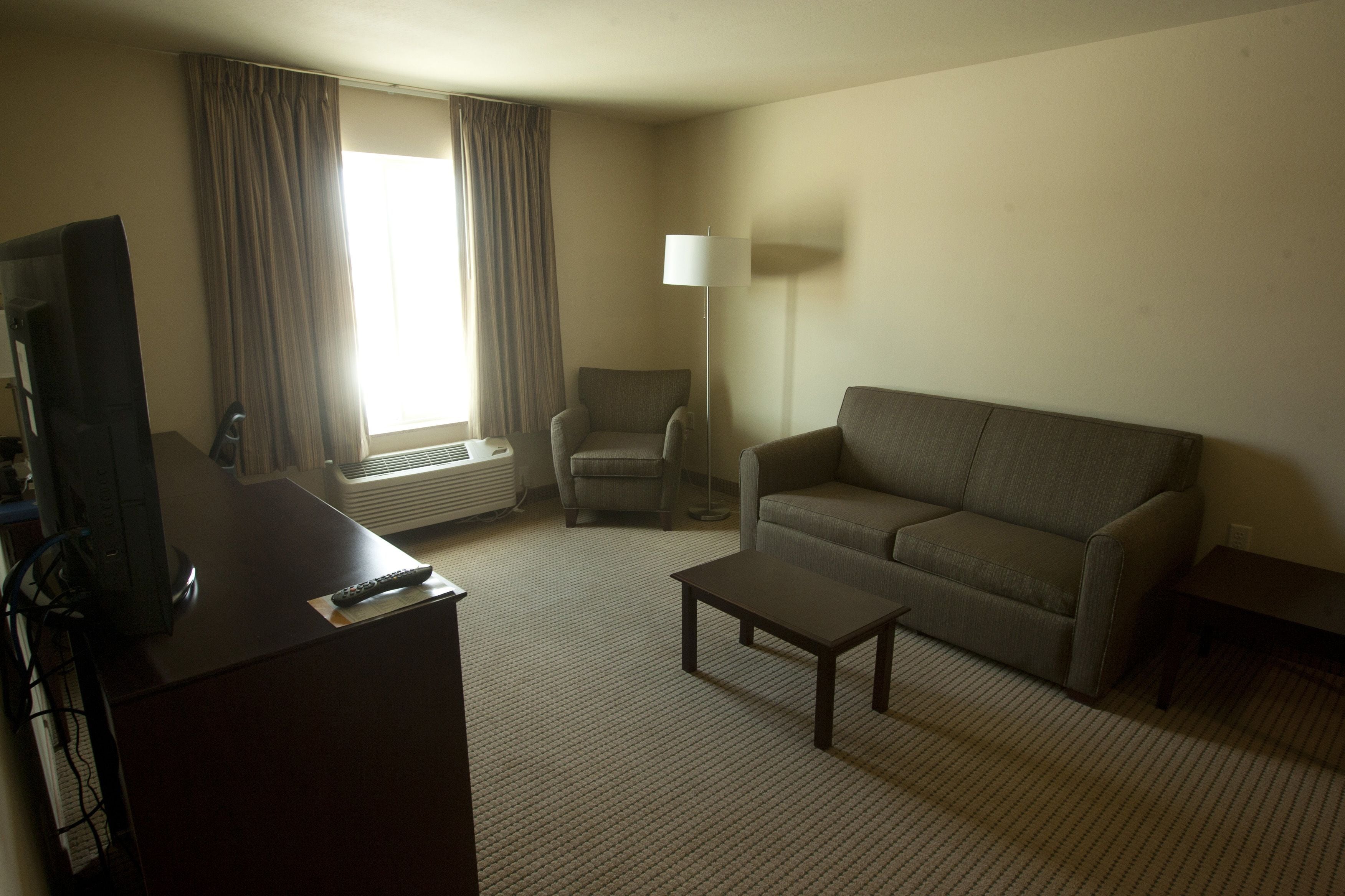 suite, 1 king bed with sofa bed, accessible, non smoking | living area | flat-screen tv, dvd player