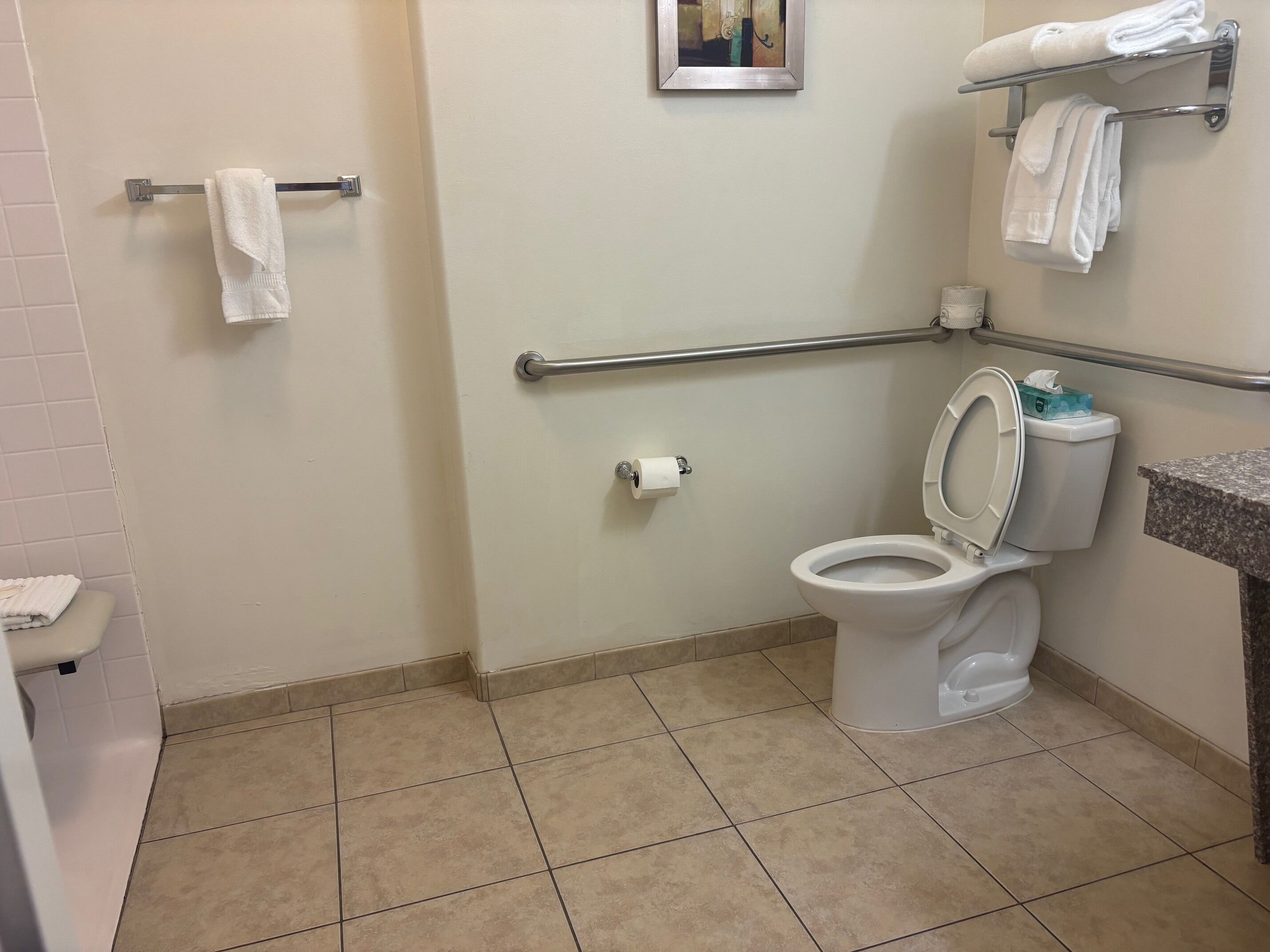 A bathroom with a toilet, a towel rack, and a handrail.