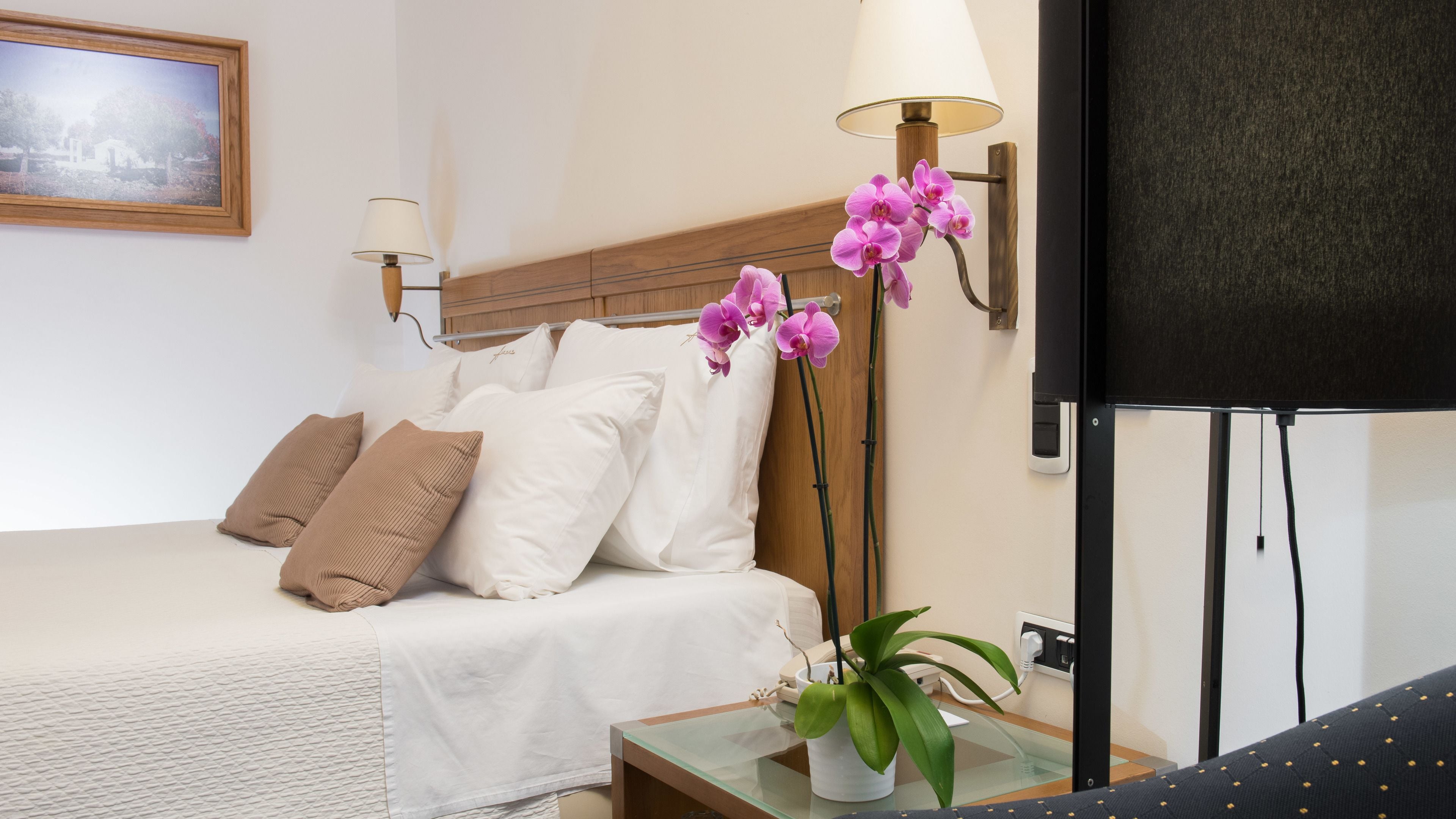 Une chambre d’hôtel avec un lit, des oreillers, une table de chevet avec une lampe, une plante en pot et un téléviseur.