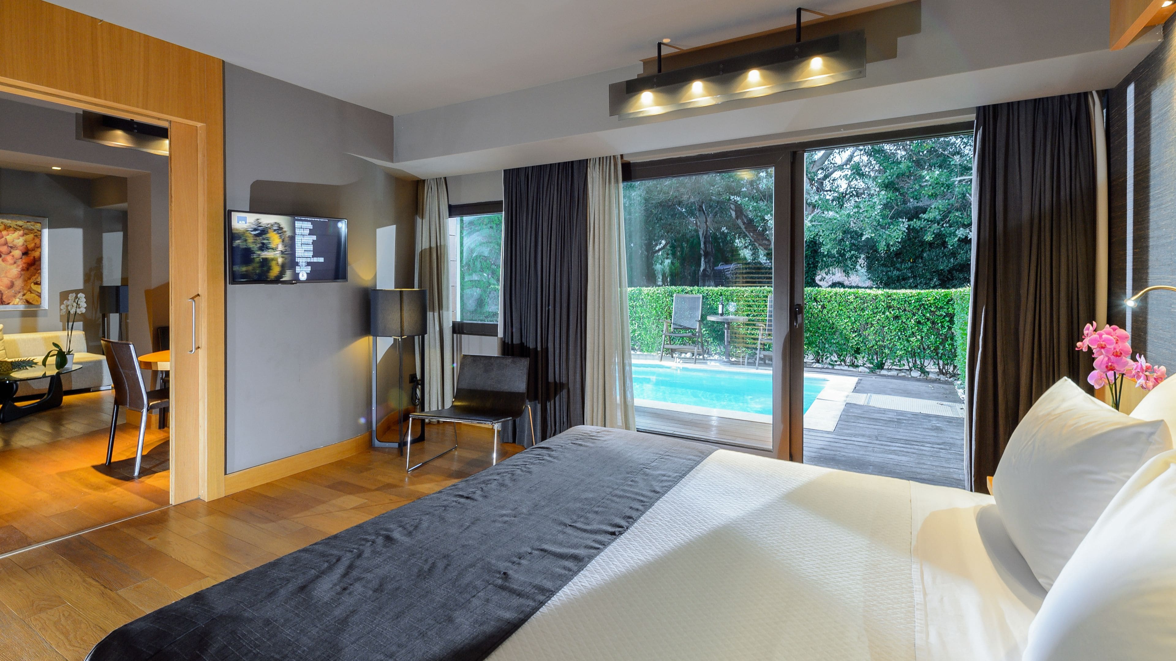 deluxe suite, private pool | view from room