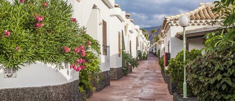A narrow, paved pathway flanked by white buildings with dark stone bases, leading towards a mountainous backdrop.