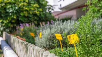 Ein Garten mit verschiedenen Pflanzen und einem Holzzaun.