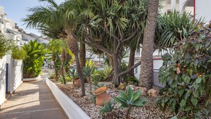 A narrow pathway flanked by potted plants and palm trees, leading to a building with white walls and balconies. - Sahara Sunset (Benalmádena)
