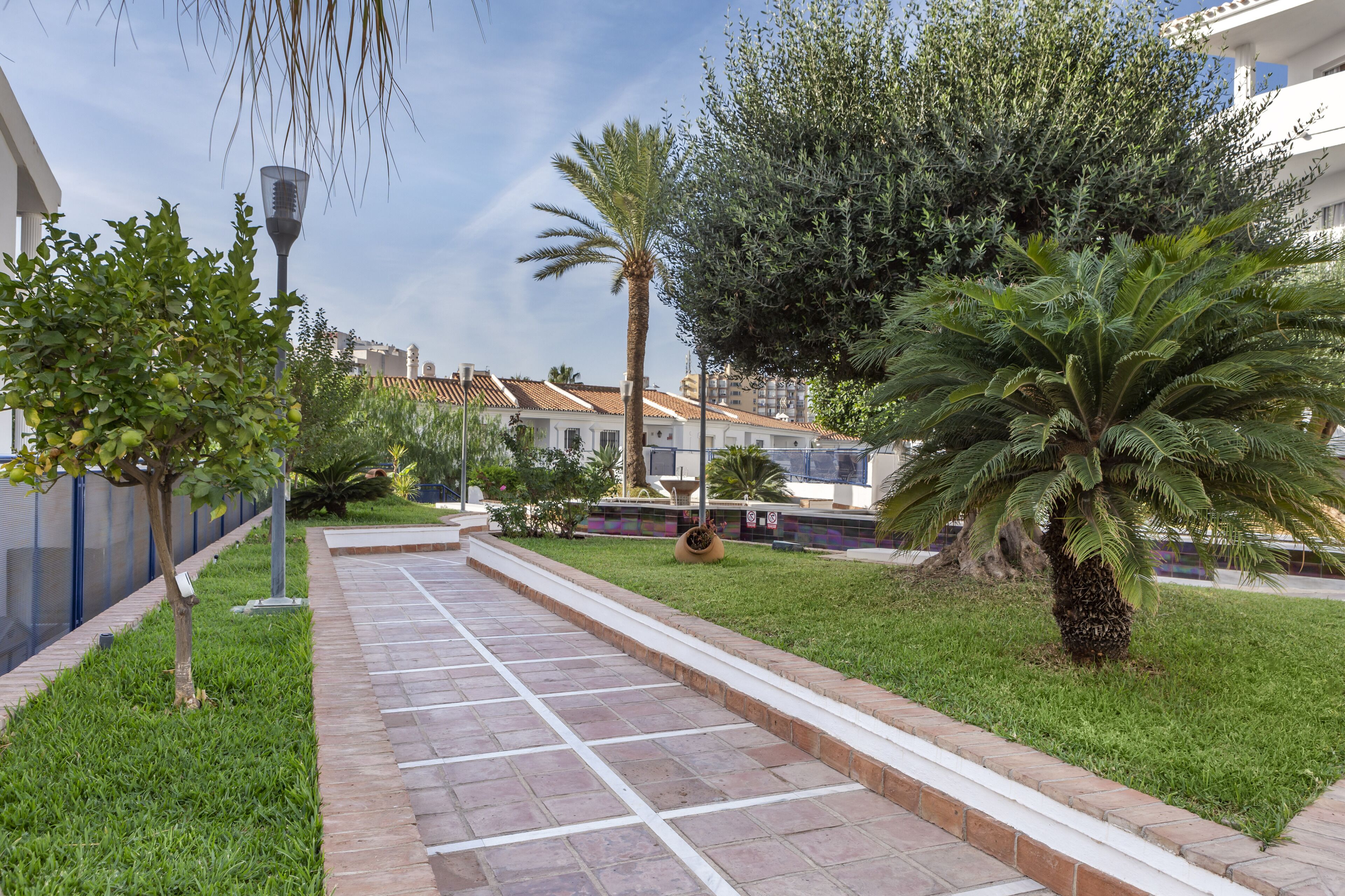A paved walkway with a grassy area and palm trees.