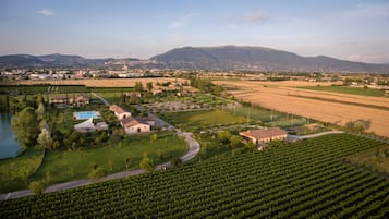 A vineyard with rows of grapevines, a swimming pool, and a few buildings with a view of distant mountains.