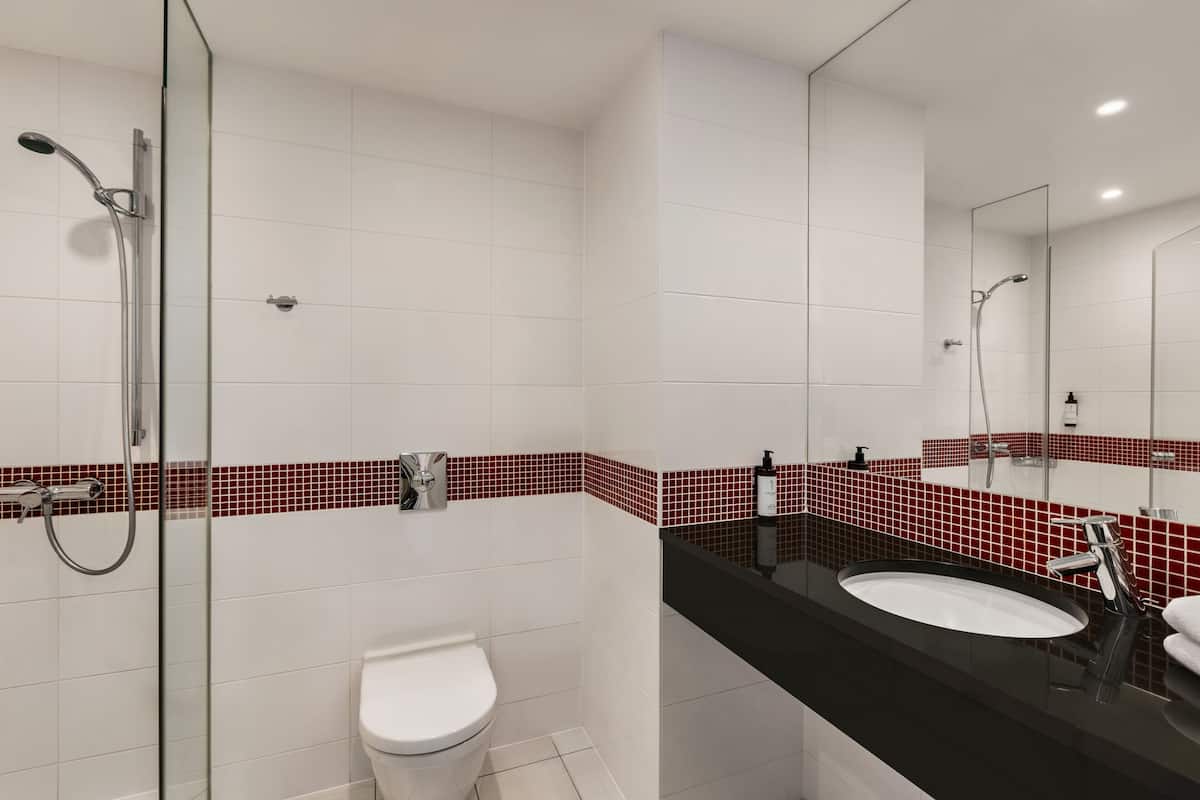 shower, free toiletries, hair dryer, towels