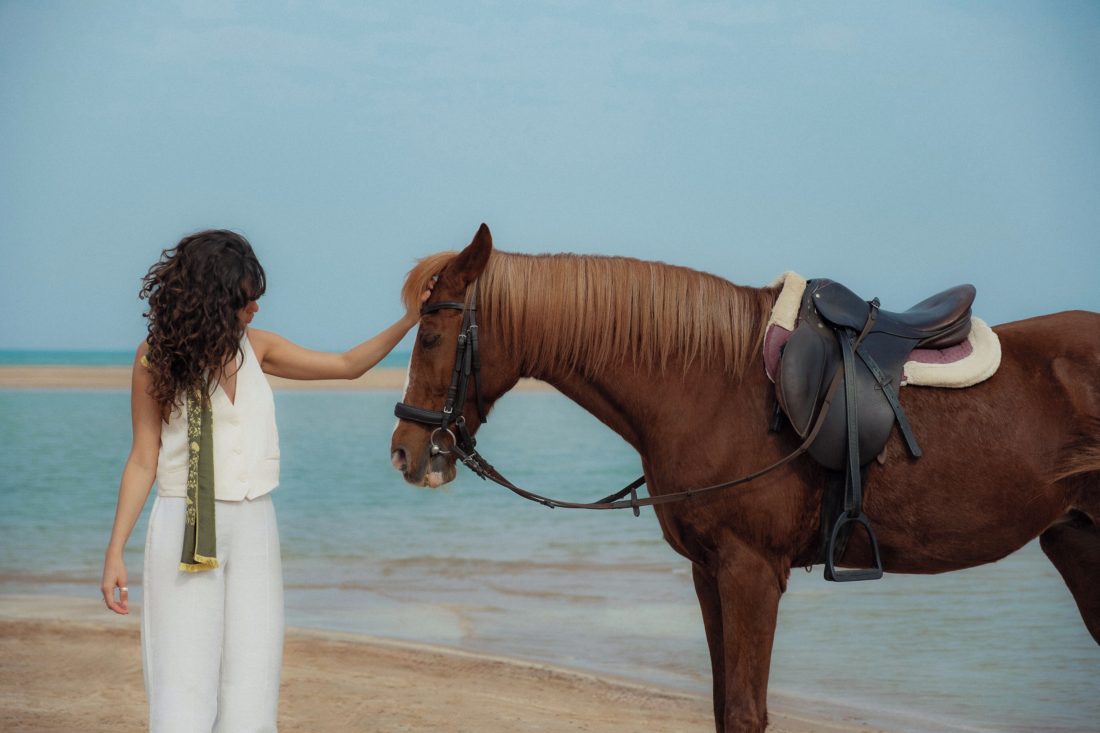 A person interacting with a horse on a beach.