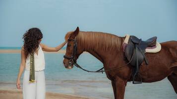 A person interacting with a horse on a beach.