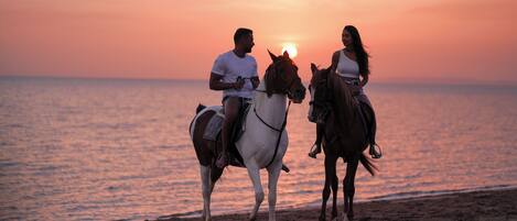 Two people riding horses on a beach at sunset.
