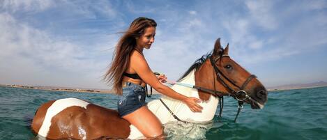 A person riding a horse in a body of water with a clear sky in the background.
