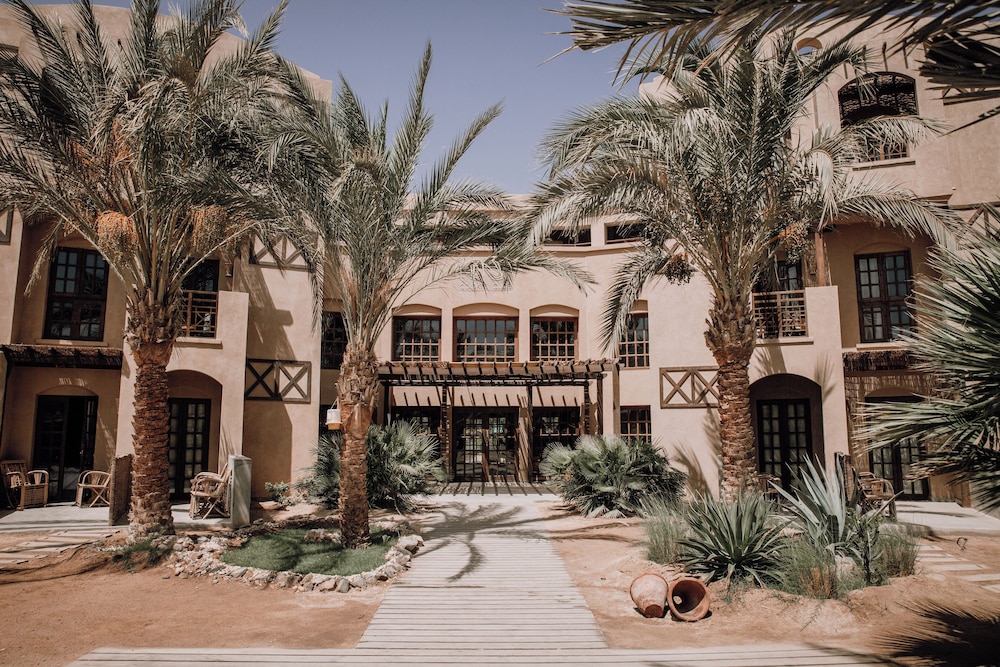 Cook's Club El Gouna by null