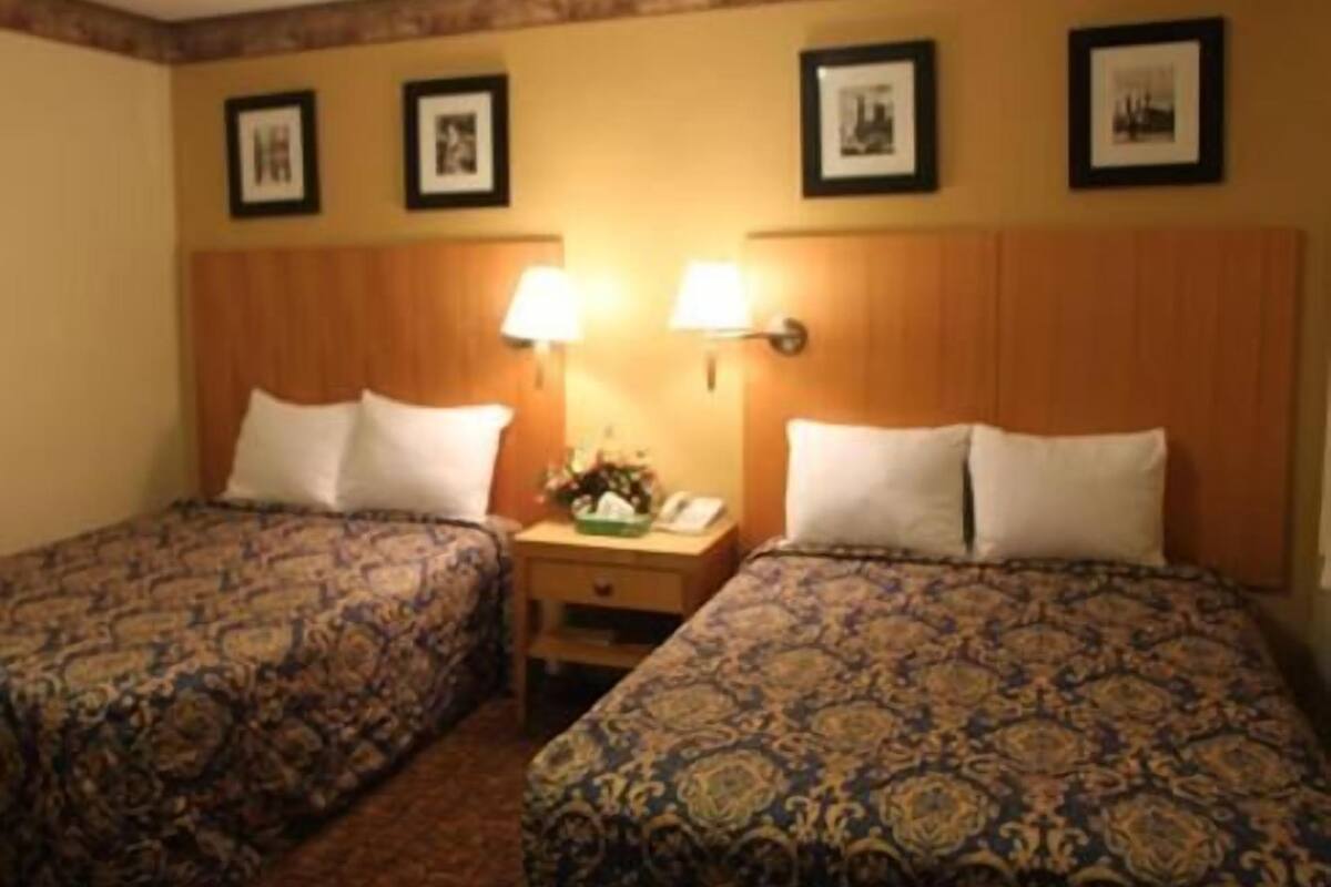 A hotel room with two beds, each with a patterned bedspread, a nightstand with a lamp, and framed pictures on the wall.