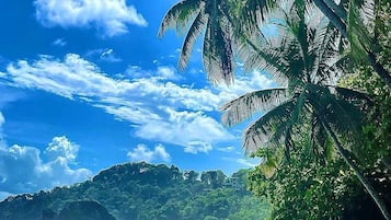 Bãi biển riêng, xe đưa đón đến bãi biển miễn phí, ghế dài tắm nắng