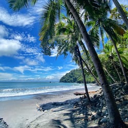 Private beach, free beach shuttle, sun loungers, beach towels