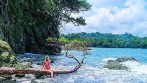 A woman sitting on a log by the sea, with a rocky cliff and lush greenery in the background. - Makanda by the Sea (Quepos)