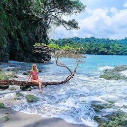 Private beach, free beach shuttle, sun loungers, beach towels