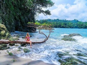 Plage privée, navette gratuite vers la plage, chaises longues