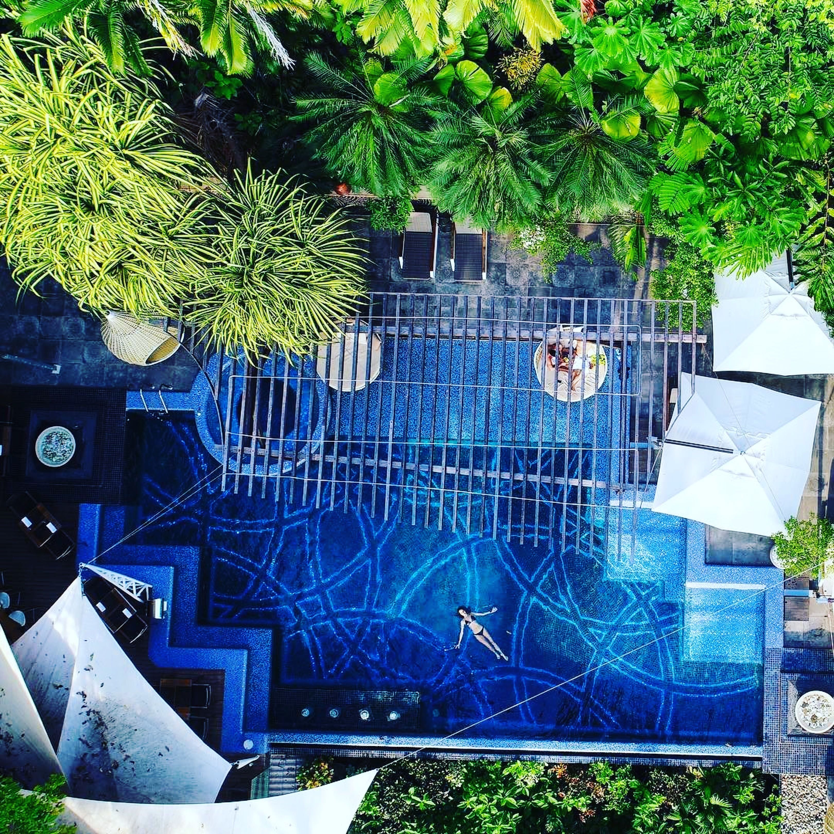 Vista aérea de uma piscina no terraço com design de vidro geométrico, rodeada por vegetação exuberante e guarda-sóis brancos.