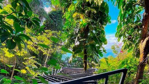 A pathway with metal railings surrounded by lush greenery. - Makanda by the Sea (Quepos)