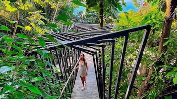 Jardines del alojamiento