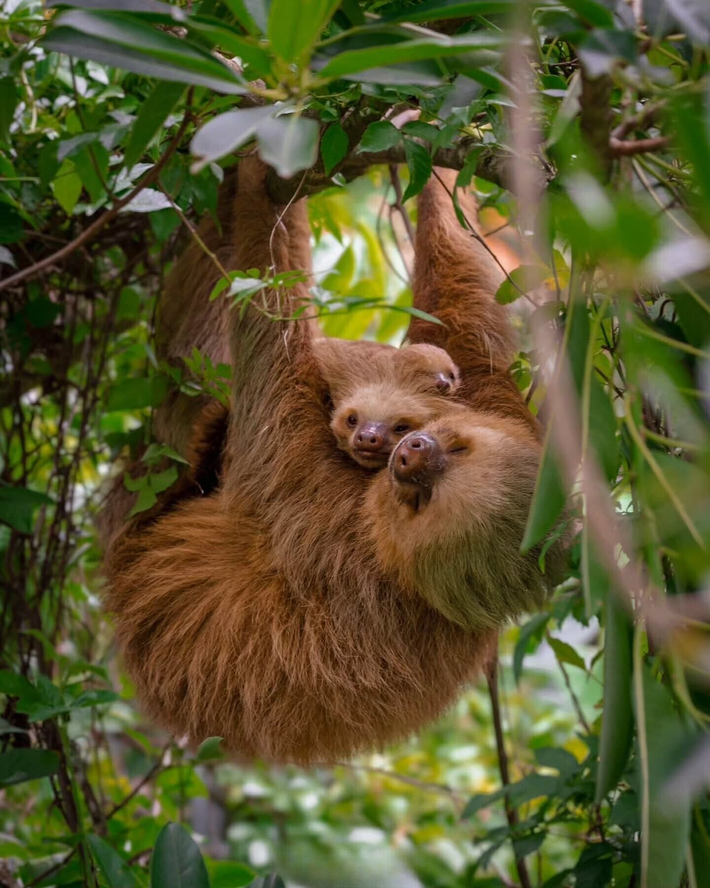 Foto - Makanda by The Sea Hotel Adults Only