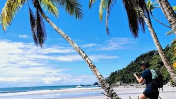 Private beach, free beach shuttle, sun loungers, beach towels