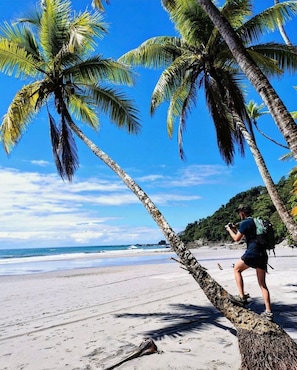 Private beach, free beach shuttle, sun loungers, beach towels