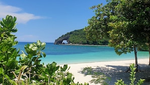 A beach with clear turquoise water, a sandy shore, and lush greenery.