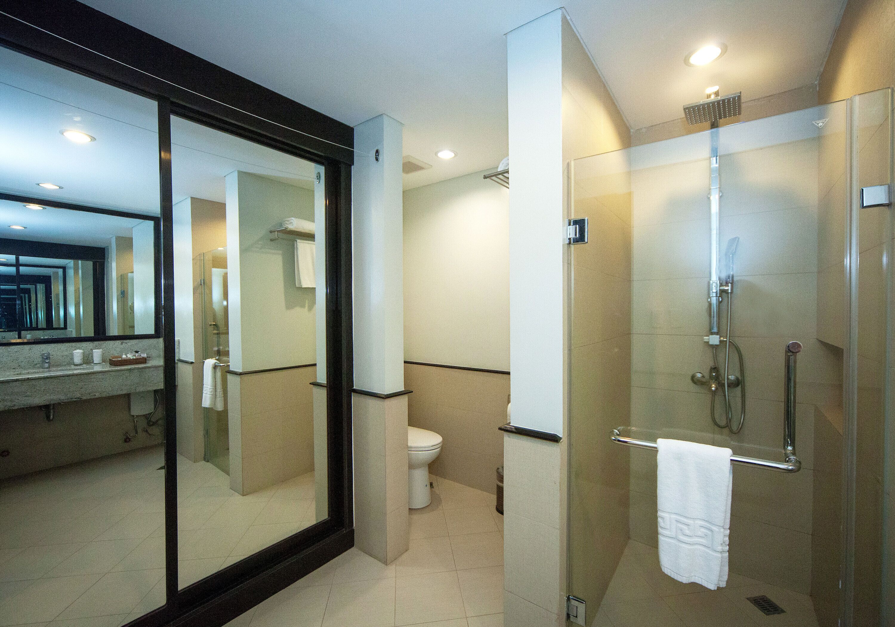 A modern bathroom with a glass shower enclosure, a toilet, and a sink with a mirror.