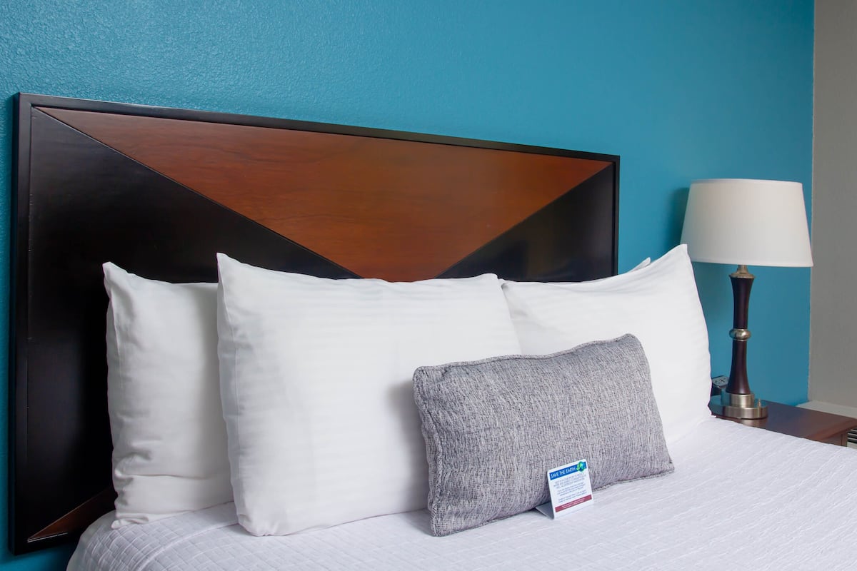 A hotel room with a large bed, white and gray pillows, a wooden headboard, a bedside lamp, and a blue wall.