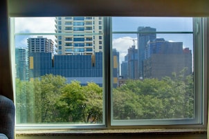 A window with a view of tall buildings and dense foliage.