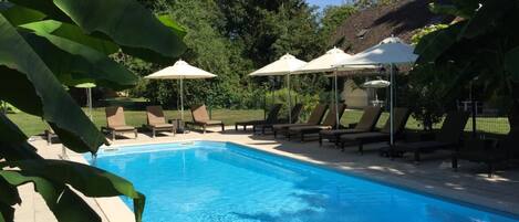 Une piscine rectangulaire à l’eau d’un bleu cristallin, entourée de chaises longues et de parasols.
