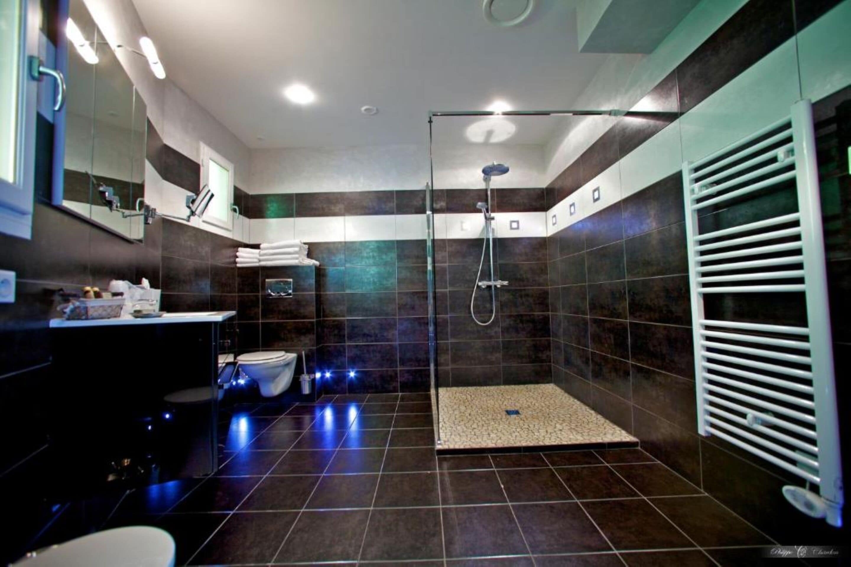A modern bathroom with a glass-enclosed shower, dark tiled walls, a white towel rack, and a visible toilet.