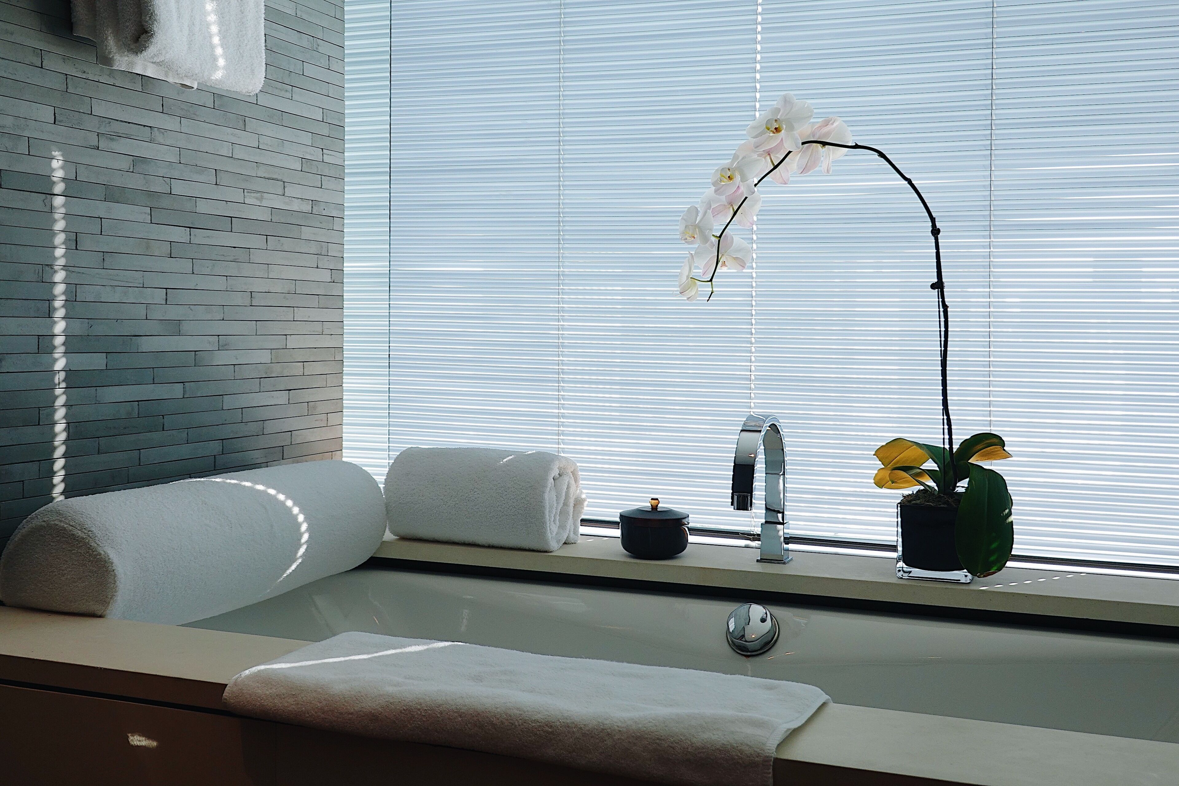 A bathroom with a sink, towel, and orchid plant.