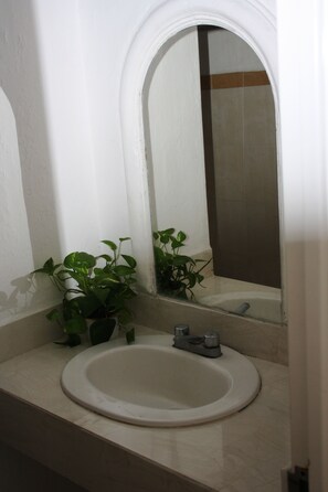 Un baño con un lavamanos blanco, un espejo y una planta en maceta.