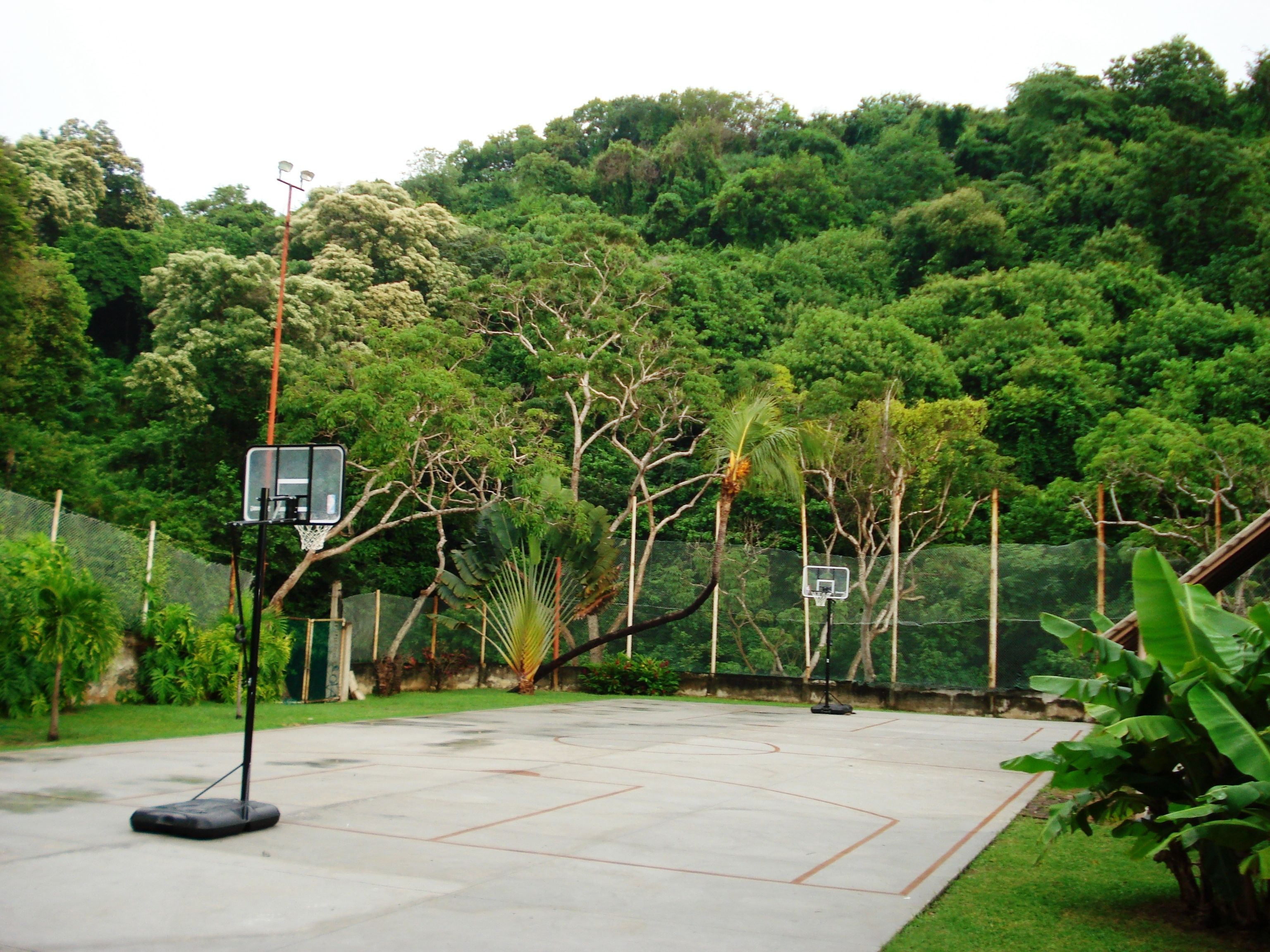 Basketballbane