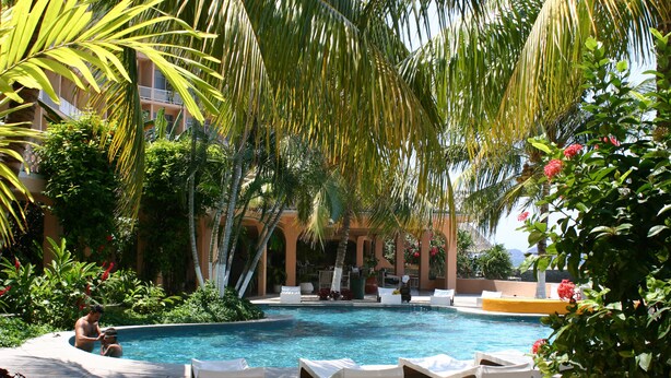 Un área de piscina con sillas de descanso y palmeras.