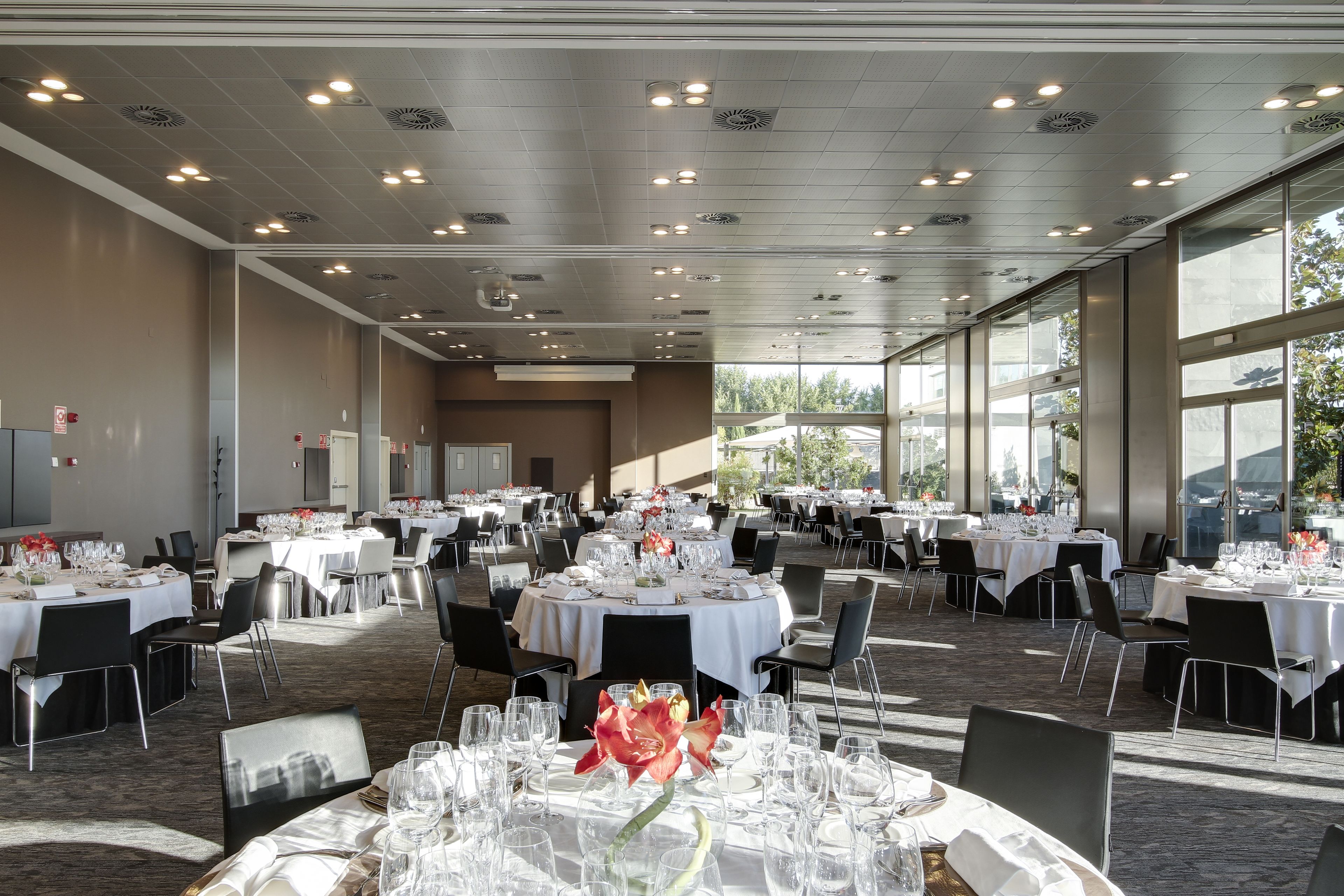 Un salón de banquetes con mesas redondas dispuestas para comer, ventanas amplias y un techo alto con iluminación empotrada.